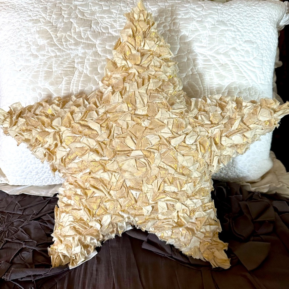 Emily & Meritt Star Pillow.